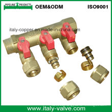 OEM&ODM Quality Brass Forged 3-Way Manifold (AV9069)